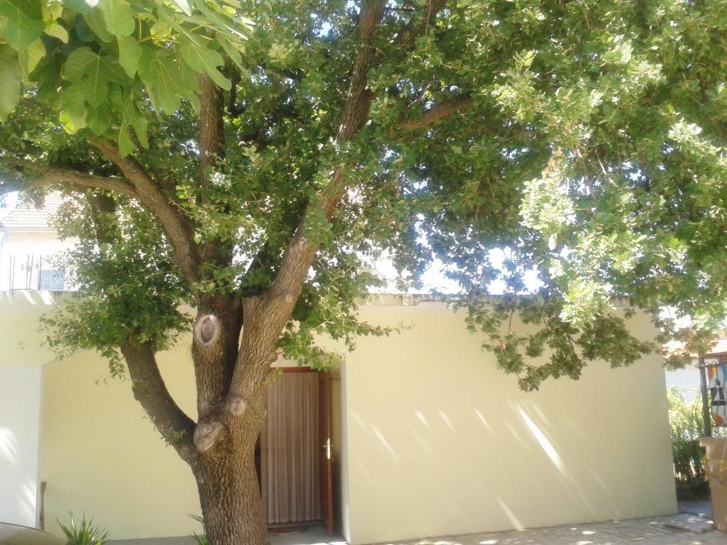 Apartments Angela Biograd Na Moru Esterno foto